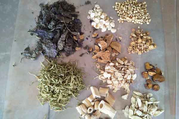 上海交通大學(xué)醫(yī)學(xué)院附屬瑞金醫(yī)院