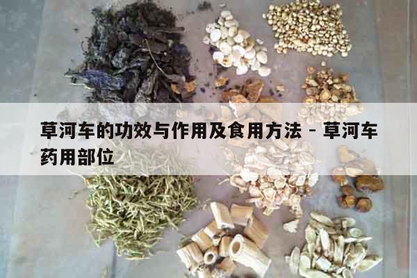 草河車的功效與作用及食用方法 - 草河車藥用部位