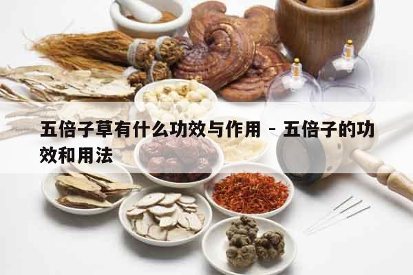 五倍子草有什么功效與作用 - 五倍子的功效和用法