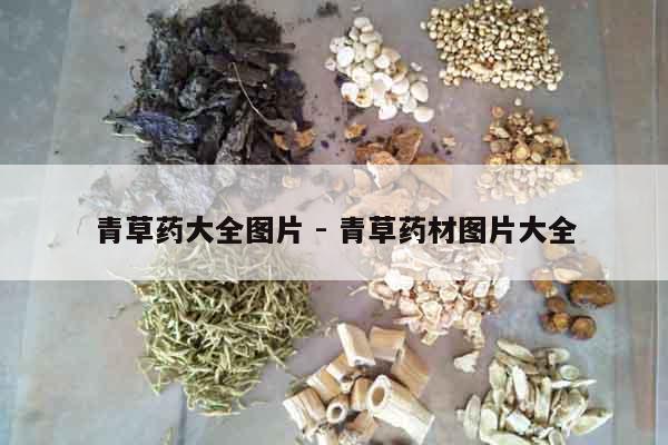 青草藥大全圖片 - 青草藥材圖片大全 青草藥大全圖片 - 青草藥材圖片大全