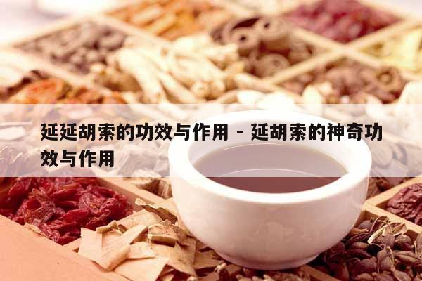 延延胡索的功效與作用 - 延胡索的神奇功效與作用