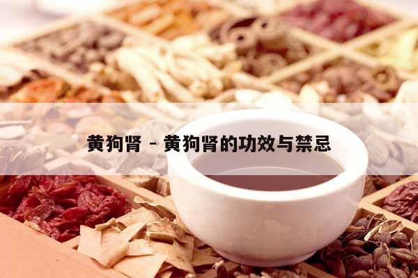 黃狗腎 - 黃狗腎的功效與禁忌