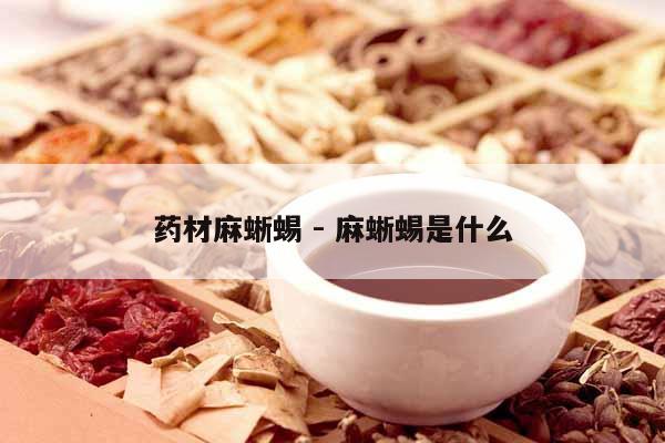 藥材麻蜥蜴 - 麻蜥蜴是什么