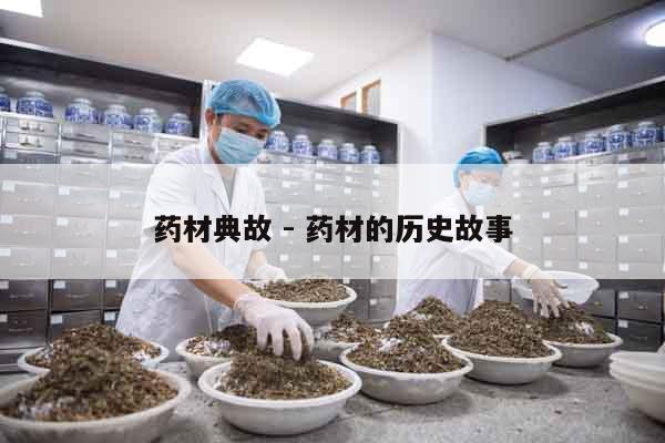 藥材典故 - 藥材的歷史故事