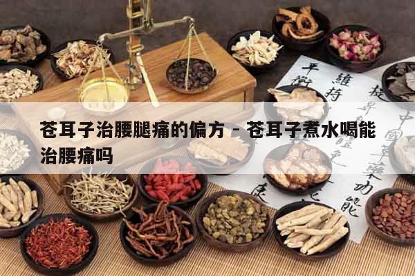 蒼耳子治腰腿痛的偏方 - 蒼耳子煮水喝能治腰痛嗎