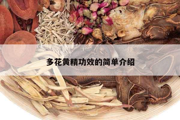 多花黃精功效的簡單介紹