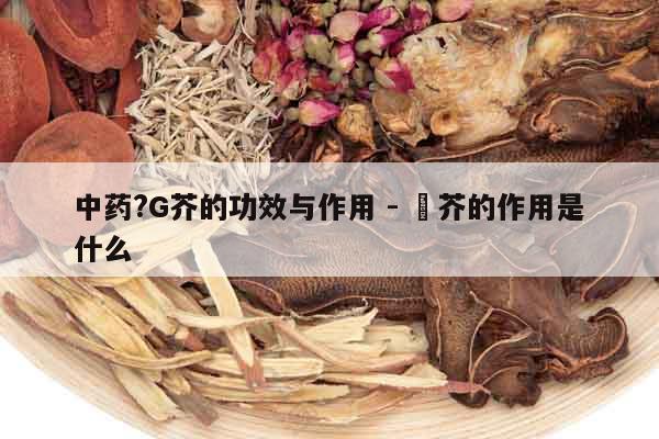 中藥?G芥的功效與作用 - 荊芥的作用是什么