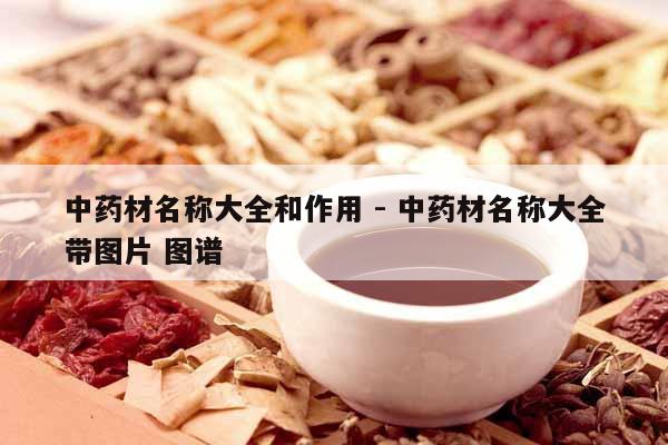 中藥材名稱大全和作用 - 中藥材名稱大全帶圖片 圖譜 中藥材名稱大全和作用 - 中藥材名稱大全帶圖片 圖譜