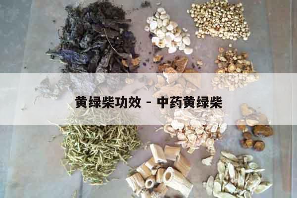 黃綠柴功效 - 中藥黃綠柴