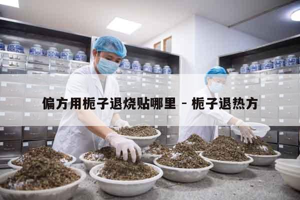 偏方用梔子退燒貼哪里 - 梔子退熱方