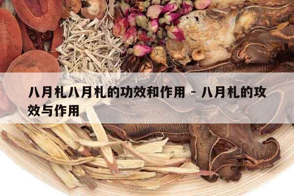 八月札八月札的功效和作用 - 八月札的攻效與作用