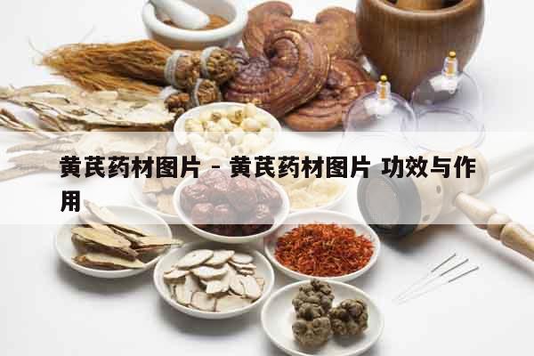黃芪藥材圖片 - 黃芪藥材圖片 功效與作用