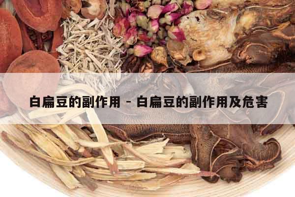 白扁豆的副作用 - 白扁豆的副作用及危害