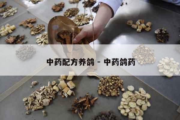 中藥配方養(yǎng)鴿 - 中藥鴿藥