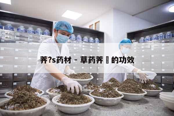 薺?s藥材 - 草藥薺苨的功效