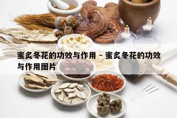 蜜炙冬花的功效與作用 - 蜜炙冬花的功效與作用圖片