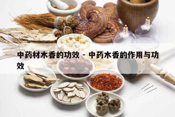 中藥材木香的功效 - 中藥木香的作用與功效