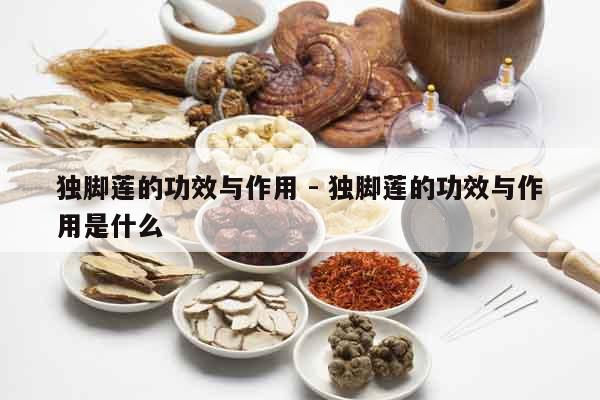 獨腳蓮的功效與作用 - 獨腳蓮的功效與作用是什么