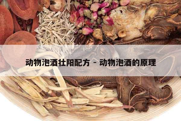 動物泡酒壯陽配方 - 動物泡酒的原理