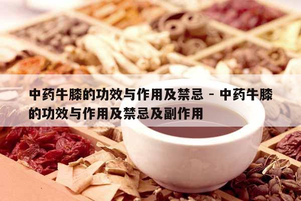 中藥牛膝的功效與作用及禁忌 - 中藥牛膝的功效與作用及禁忌及副作用