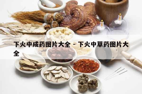 下火中成藥圖片大全 - 下火中草藥圖片大全