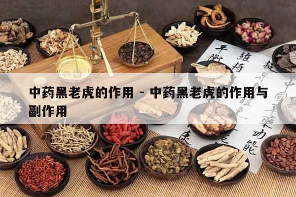 中藥黑老虎的作用 - 中藥黑老虎的作用與副作用