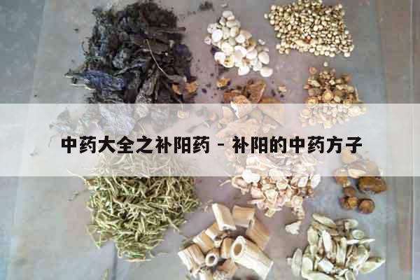 中藥大全之補陽藥 - 補陽的中藥方子 中藥大全之補陽藥 - 補陽的中藥方子