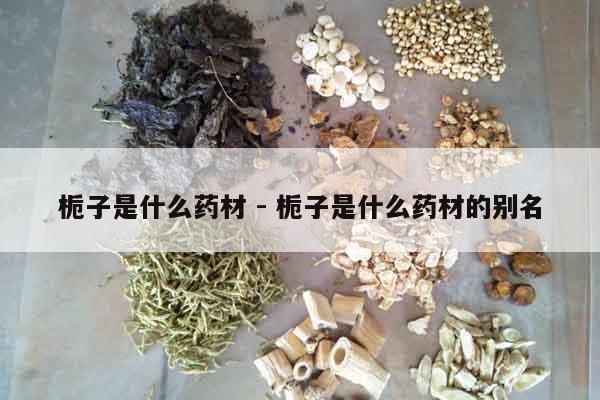 梔子是什么藥材 - 梔子是什么藥材的別名 梔子是什么藥材 - 梔子是什么藥材的別名