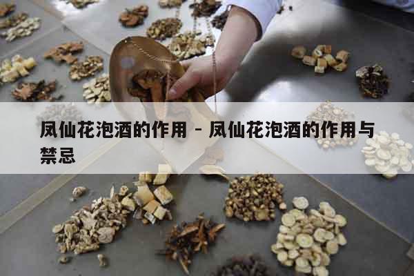 鳳仙花泡酒的作用 - 鳳仙花泡酒的作用與禁忌