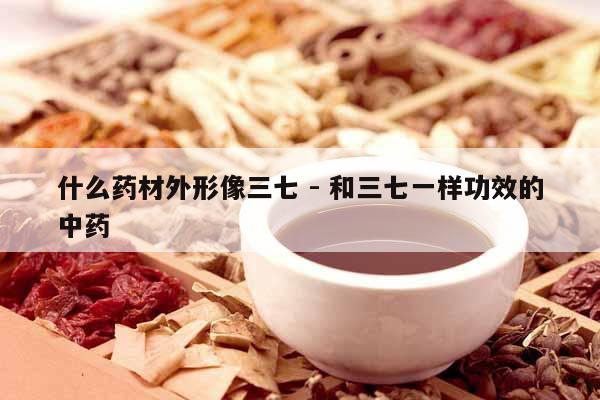 什么藥材外形像三七 - 和三七一樣功效的中藥