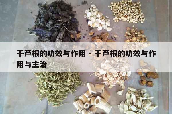 干蘆根的功效與作用 - 干蘆根的功效與作用與主治