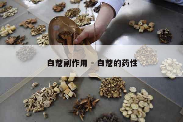 白蔻副作用 - 白蔻的藥性