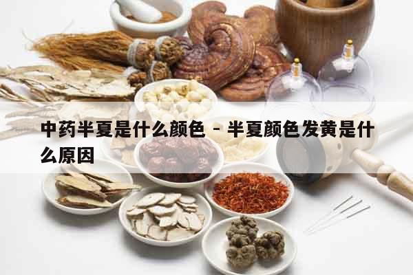 中藥半夏是什么顏色 - 半夏顏色發(fā)黃是什么原因