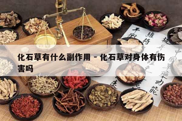 化石草有什么副作用 - 化石草對身體有傷害嗎