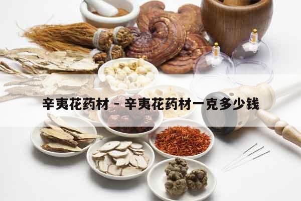 辛夷花藥材 - 辛夷花藥材一克多少錢 辛夷花藥材 - 辛夷花藥材一克多少錢