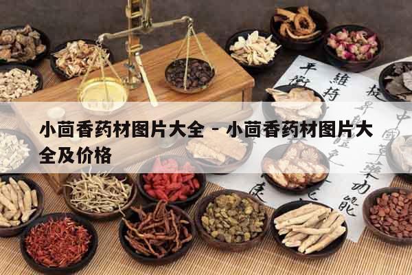 小茴香藥材圖片大全 - 小茴香藥材圖片大全及價格 小茴香藥材圖片大全 - 小茴香藥材圖片大全及價格