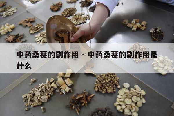 中藥桑葚的副作用 - 中藥桑葚的副作用是什么