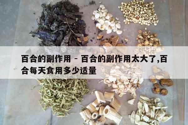 百合的副作用 - 百合的副作用太大了,百合每天食用多少適量