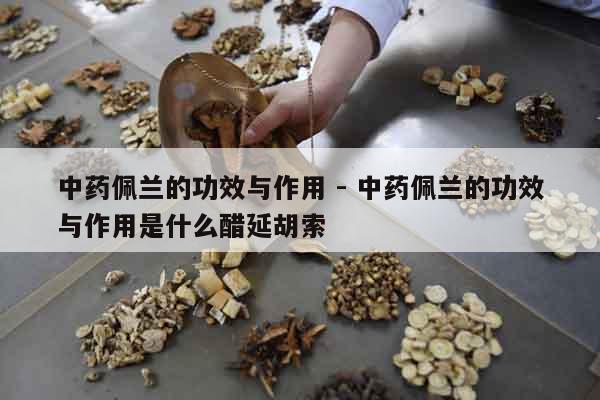 中藥佩蘭的功效與作用 - 中藥佩蘭的功效與作用是什么醋延胡索