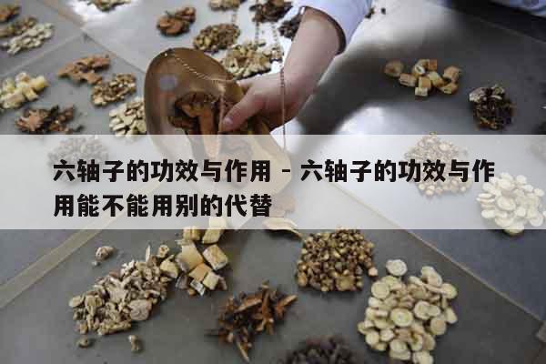 六軸子的功效與作用 - 六軸子的功效與作用能不能用別的代替