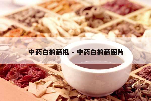 中藥白鶴藤根 - 中藥白鶴藤圖片