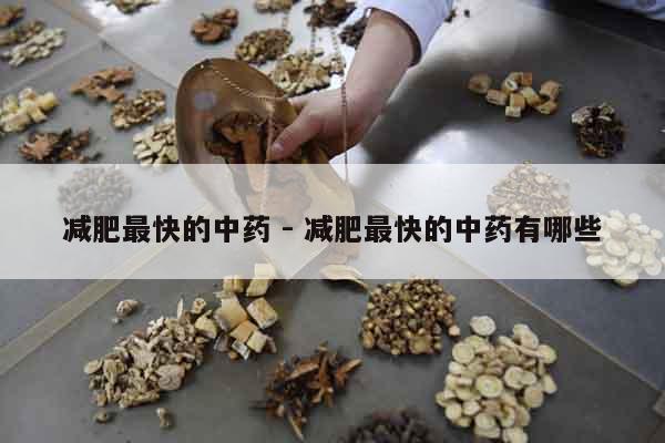 減肥最快的中藥 - 減肥最快的中藥有哪些