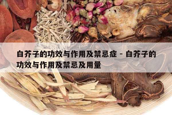 白芥子的功效與作用及禁忌癥 - 白芥子的功效與作用及禁忌及用量