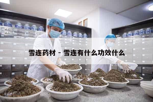 雪連藥材 - 雪連有什么功效什么