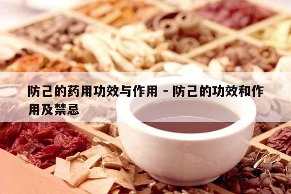 防己的藥用功效與作用 - 防己的功效和作用及禁忌