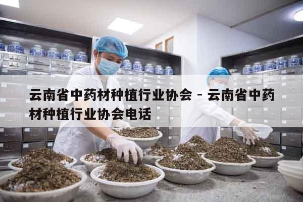 云南省中藥材種植行業協會 - 云南省中藥材種植行業協會電話