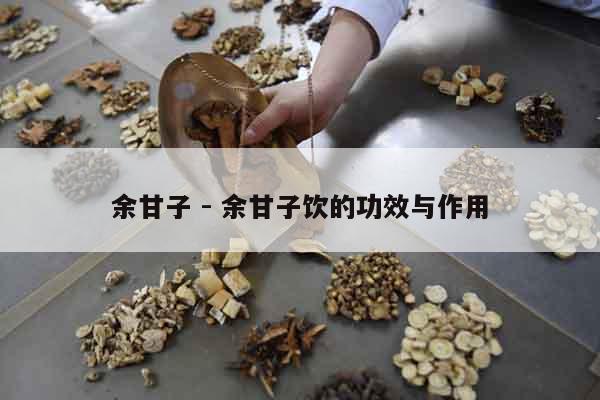 余甘子 - 余甘子飲的功效與作用