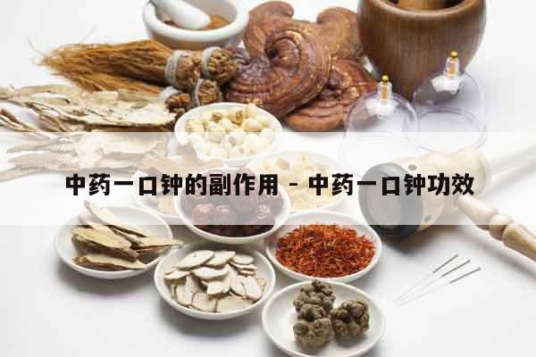 中藥一口鐘的副作用 - 中藥一口鐘功效