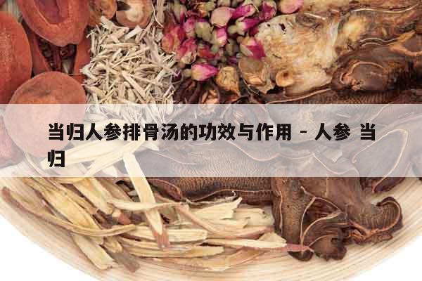 當歸人參排骨湯的功效與作用 - 人參 當歸 當歸人參排骨湯的功效與作用 - 人參 當歸