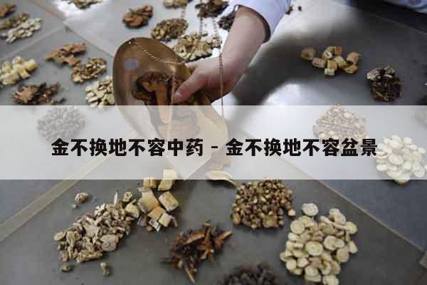 金不換地不容中藥 - 金不換地不容盆景